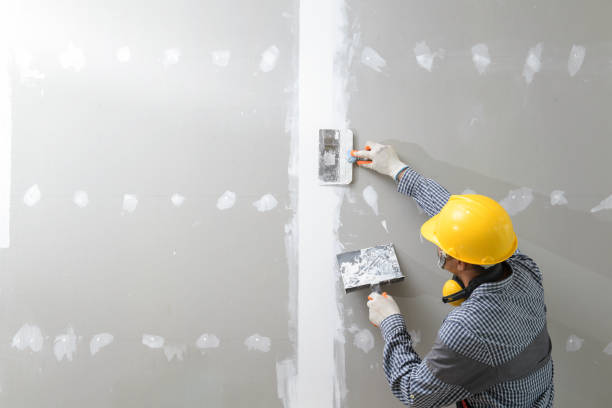 Drywall & Painting Services